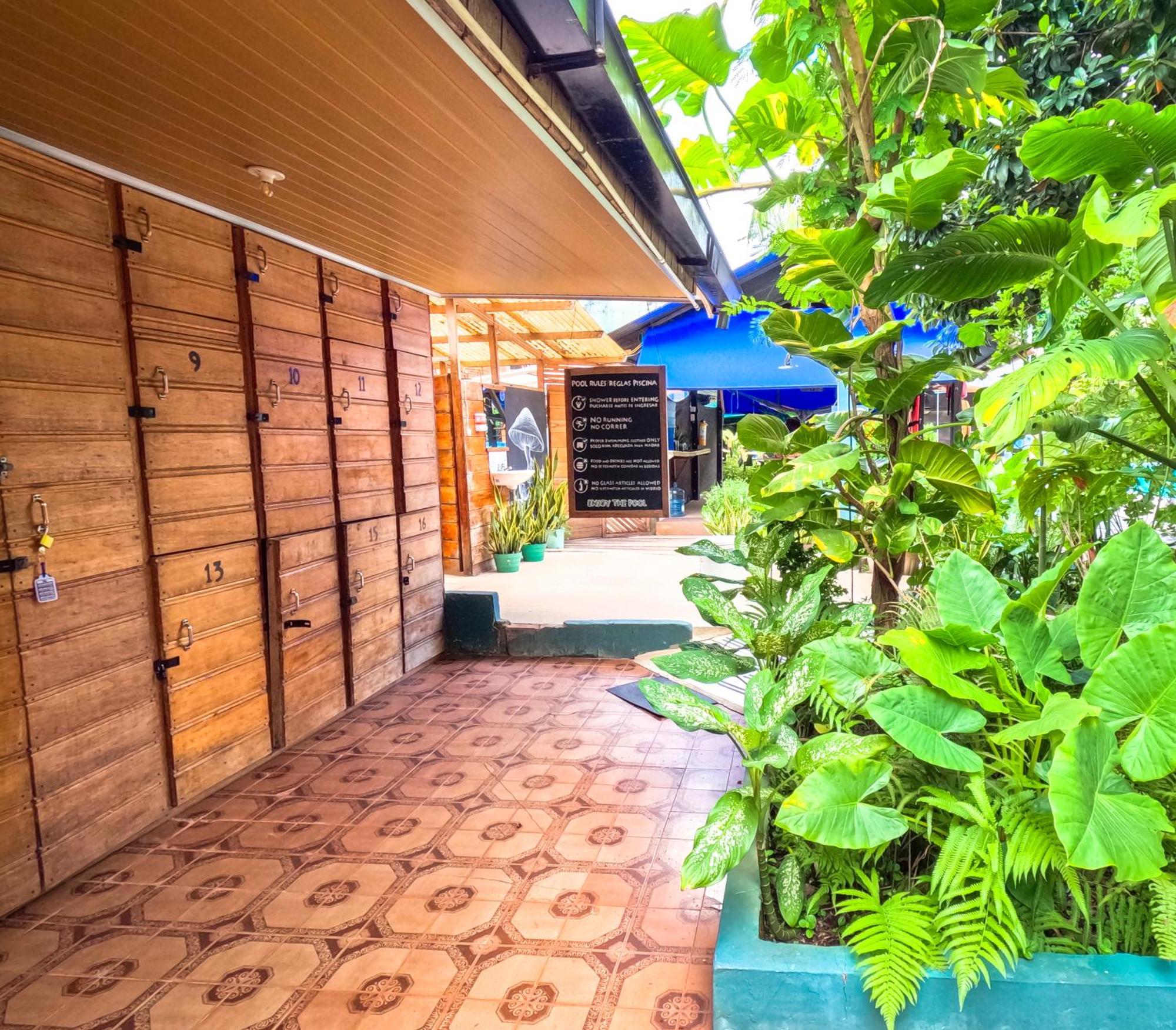 Hostel Casa De Las Palmas Tours Летисия Экстерьер фото